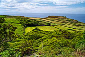 Azzorre, Isola Terceira - Escursione Mata da Serreta.  
